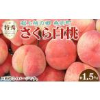 ふるさと納税 もも 福