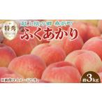 ふるさと納税 もも 福