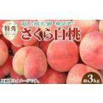 ふるさと納税 もも 福