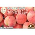 ふるさと納税 もも 福