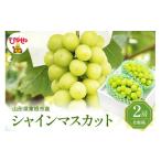 ふるさと納税 ぶどう マスカット 山形県 東根市 2026年ぶどう「シャインマスカット」秀品 化粧箱入り 2房(約1.2kg) 東根農産センター提供 山形県 東根市 hi027…