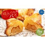 焼菓子 チョコレート アップルパイ 晴れのちパイ