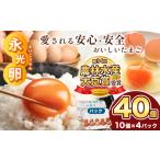 卵 鶏 烏骨鶏等 たまご 40個