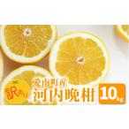 ふるさと納税 みかん・柑橘類 愛媛県 愛南町  先行予約 訳あり 河内晩柑 10kg 送料無料 わけあり ワケアリ 不揃い 愛媛 愛南町産 愛南ゴールド 和製 グレープ…