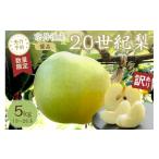 ふるさと納税 梨 京都府 京丹後市  先行予約／数量限定100 訳あり 20世紀梨 優品 5kg（13〜20玉入り）（2026年9月上旬〜発送）　SF00039