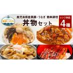 加工品等 レトルト 黒豚 うなぎ 丼物 セット