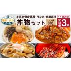 ふるさと納税 加工品等 レトルト 鹿児島県 薩摩川内市 CS-808 1ヶ月おき3回 : 定期便 鹿児島県産 黒豚・うなぎ 簡単調理 丼ものセット レンジ対応