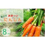 fu.... налог овощи вид морковь Kyoto (столичный округ) черепаха холм город морковь 8kg время ограничено природа культивирование. .. лист имеется морковь Kyoto (столичный округ) * черепаха холм производство .... органический ферма .. доставка { есть перевод sa...