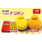 ふるさと納税 みかん・柑橘類 デコポン 香川県 東かがわ市  No.4631-1551 貯蔵デコポン　約3kg化粧箱入り