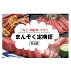 うなぎ 3か月定期便 まんぞく定期便 高級和牛