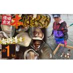 地域のお礼の品 網田漁業協同組合 本ハマグリ 約1kg