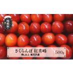 ふるさと納税 果物類 さくらんぼ 山形県 尾花沢市 先行予約 さくらんぼ 紅秀峰 500g 秀 Lサイズ以上 化粧詰め 2025年産 令和7年産 山形県産 尾花沢産 2025年6…