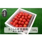 ふるさと納税 果物類 