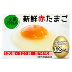 卵 赤たまご 120個