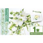 花 苗木 花束 C67007 カサブランカとグリーンのキャスケー…