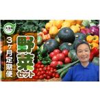 自治体にお任せ 野菜 定期便 全3回 先行 旬