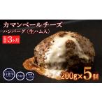 ふるさと納税 肉 ハンバーグ 北海道 白老町 定期便3ヵ月 お楽しみ 北海道産 白老牛 カマンベールチーズハンバーグ 5個セット 冷凍 チーズ イン ハンバーグ
