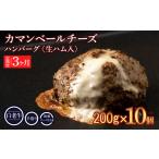 ふるさと納税 肉 ハンバーグ 北海道 白老町 定期便3ヵ月 お楽しみ 北海道産 白老牛 カマンベールチーズハンバーグ 10個セット 冷凍 チーズ イン ハンバーグ