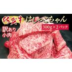 ふるさと納税 牛肉 バラ(カルビ) 佐賀県 多久市  毎月数量限定 佐賀牛 焼肉 用 カルビ を贅沢に ステーキ に 佐賀牛小肉 「はしっこちゃん」 300g×2パック 牛…