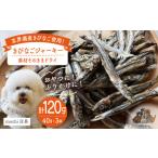 魚貝類 きびなご ジャーキー 40g×3袋