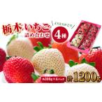 ショッピングふるさと納税 いちご ふるさと納税 いちご 栃木県 佐野市  春いちご 栃木のいちご4種詰め合わせセット (300g×4パック)_いちご イチゴ 苺 フルーツ 果物 栃木県 詰め合わせ セット …