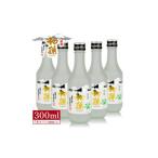 日本酒 純米酒 初孫 ニュー銀嶺セット 300ml×5本