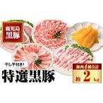 豚肉 セット C02044 特選黒豚大盛セット 約2kg