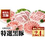 豚肉 セット C02045 特選黒豚セット 約2.4kg