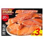 ふるさと納税 魚貝類 鮭 宮城県 気仙沼市 訳あり 銀鮭 切身 約3kg 宮城東洋 宮城県 気仙沼市 20564992 鮭 魚介類 海鮮 訳アリ 規格外 不揃い さけ サケ 鮭切身…