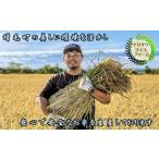 ふるさと納税 米 ゆめ