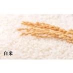 ふるさと納税 米 北海道 増毛町 7-015-018 新米・増毛町産ななつぼし 5kg(10月〜発送) 横関農園