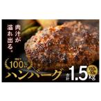 ふるさと納税 大阪府 泉佐野市 国産 牛肉 100% ハンバーグ 1.5kg（150g×10個）