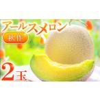 ふるさと納税 メロン メロン青肉 島根県 益田市 益田産アールスメロン 秋作 2玉 メロン 青肉 アールスメロン 2玉 秋作 糖度14度以上 フルーツ 果物 くだもの …