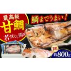 鯛 金目鯛のどぐろ 加福鮮魚 若狭ぐじ 一汐開き 1尾