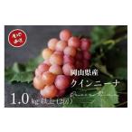 果物類 ぶどう 2026年 厳選ぶどう クイーンニーナ 1.0kg以上
