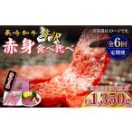 牛肉 6回定期便 長崎和牛 希少部位 赤身堪能セット