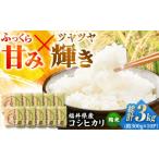 米 コシヒカリ 令和7年産 真空パック 産こしひかり 300g