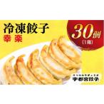 ふるさと納税 餃子 栃木県 宇都宮市  幸楽 　餃子30個入り