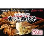 ふるさと納税 餃子 栃木県 宇都宮市 宇都宮餃子 運気アップ餃子 香り鮮やか 青じそ鶏餃子 20個 保存料不使用 餃子 ぎょうざ 冷凍餃子 冷凍食品 惣菜 栃木県 宇…