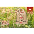 ふるさと納税 千葉県 大網白里市 令和5年産 千葉県産「ふさこがね」玄米20kg（20kg×1袋） お米 20kg 千葉県産 大網白里市 ふさこがね 米 玄米 こめ 送料無料