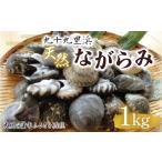 魚貝類 九十九里浜 天然ながらみ 1kg