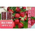 ショッピングふるさと納税 いちご ふるさと納税 いちご 千葉県 大網白里市  2026年1月下旬発送開始 黒いちご・真紅の美鈴（中サイズ） ふるさと納税 いちご 苺 イチゴ 千葉 大網白里市 送料無料…