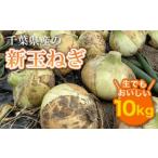 ふるさと納税 野菜類 玉ねぎ 千葉県 大網白里市 先行受付 千葉県産 新玉ねぎ10kg 生でもおいしい 令和8年5月上旬から順次発送 玉ネギ たまねぎ タマネギ 玉葱…