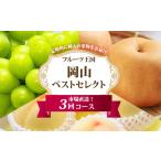 ふるさと納税 もも 岡山県 倉敷市 ［2026年先行予約］ 岡山県産 果物定期便 3回コース 2026年7月上旬〜11月下旬まで順次発送予定 もも 桃 シャインマスカット …