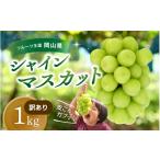 ふるさと納税 ぶどう マスカット 岡山県 真庭市  2026年先行予約 ぶどう 訳あり 花笑み農園の シャインマスカット 1kg ／ ぶどう ブドウ 葡萄 岡山 シャインマ…