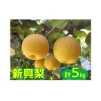 ショッピング梨 ふるさと納税 鳥取県 米子市 鳥取県産梨「新興梨(しんこうなし)」 5kg  【10月下旬〜11月上旬お届け】