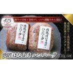 ショッピングふるさと納税 ハンバーグ ふるさと納税 鳥取県 米子市 肉匠はなふさ　ハンバーグ　120ｇ×6個