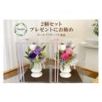 花 苗木 プリザーブドフラワー カリヌゥ 2個セット
