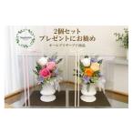 花 苗木 プリザーブドフラワー カリヌゥ 2個セット