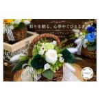 花 苗木 プリザーブドフラワー コロレ グリーン